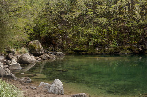 rio-petrohue-vicente-perez-rosales-national-park-los-lagos-chile-shutterstock622803569