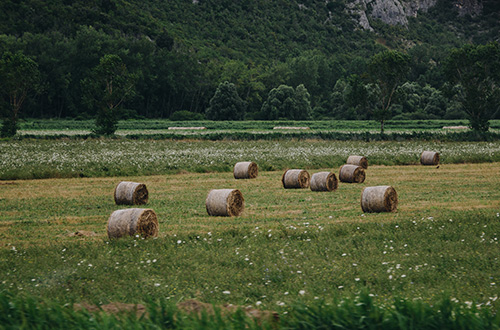 valley-of-mirna-istria-croatia-shutterstock471279479