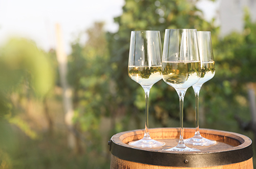 wine-tasting-shutterstock2554703973