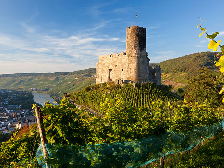 landshut-castle-germany-moselle-river