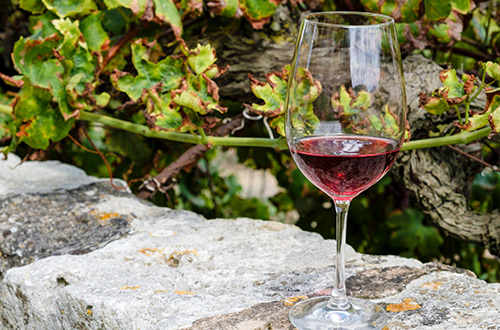 wine
