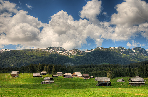 pokljuka-plateau-slovenia-shutterstock198733964