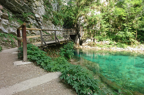 the-vintgar-gorge-bled-triglav-national-park-slovenia-shutterstock1383772844