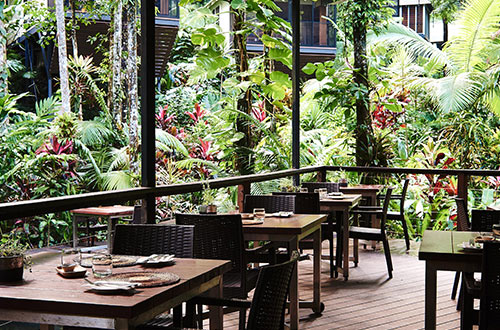 daintree-ecolodge-restaurant