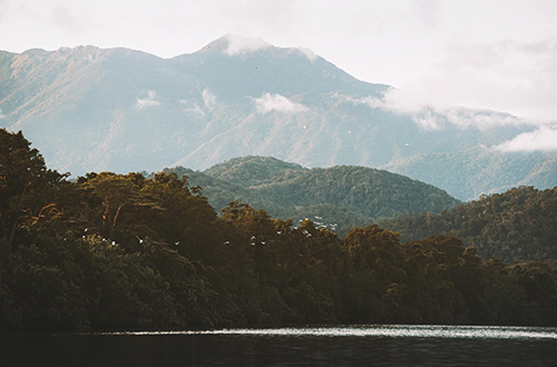 mountain-forest