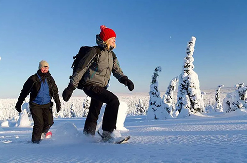 basecamp-oulanka-guest
