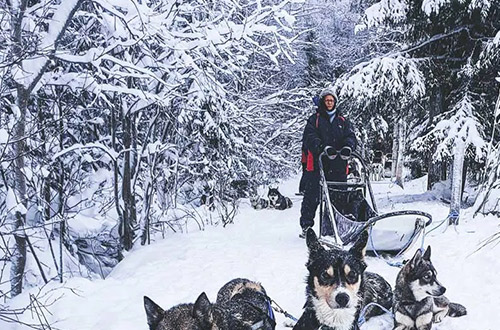 snow-dog-skiing