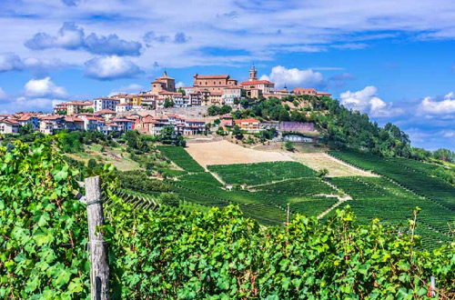 wines