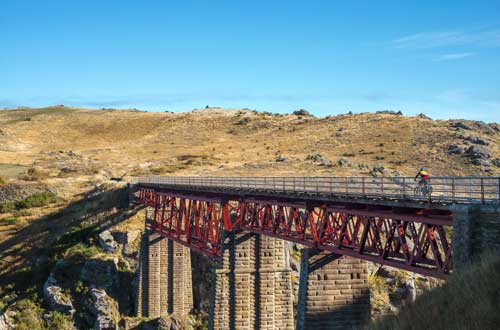 clutha-river-bridge-cycling-new-zealand