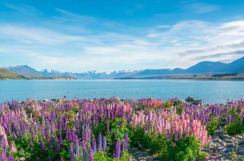 lake-tekapo-new-zealand