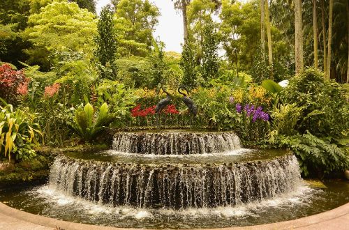 /botanic-garden-fountain-singapore