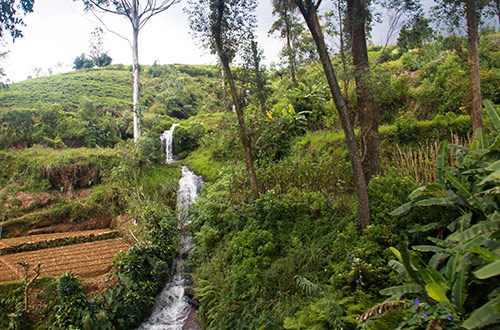 kandy-nuwara-eliya-sri-lanka