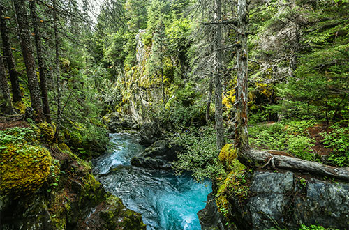 kenai-winners-creek-girdwood-alaska-usa