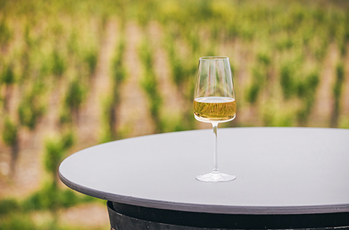 wine-tasting-shutterstock2652482861