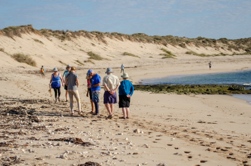 Remote-Beach-Walk