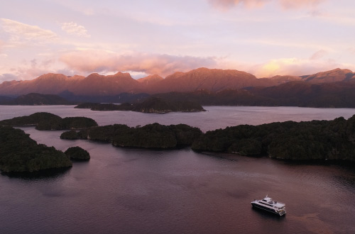 Fiordland-Cruise-Luncheon-Cove-Dusky-Sound