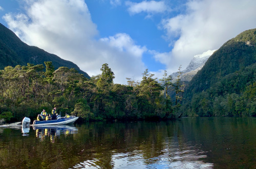 Fiordland-Cruise-Tender-Boat-excursion