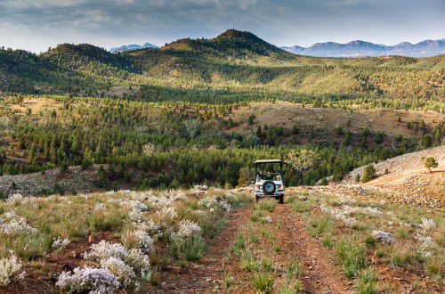 Arkaba-Walk-flinders-ranges-south-australia-luxury-walk-group-guided