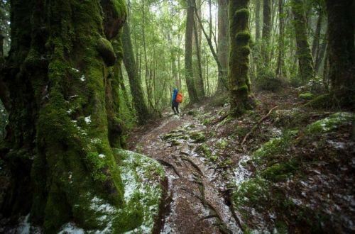 Cradle-mountain-overland-tekking-tasmania-australia