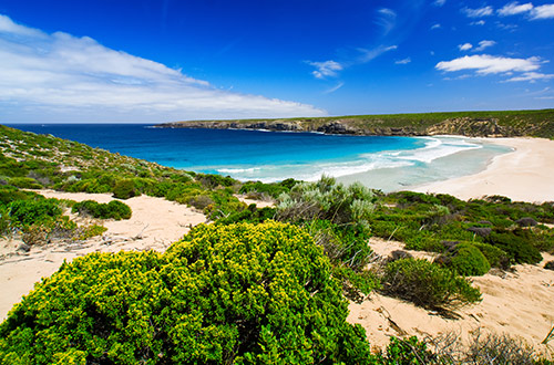 southern-ocean-lodge-habitat-restoration-australia-coastal-walk