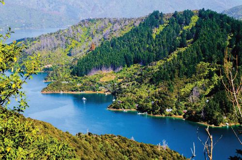 Queen-Charlotte-walk-queen-charlotte-track-walk-picton-new-zealand-marlborough-sounds-tour-