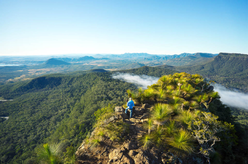 scenic-rim-trail-mt-mitchell-luxury-walk-queensland-australia
