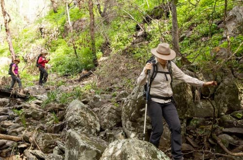 scenic-rim-trail-walk