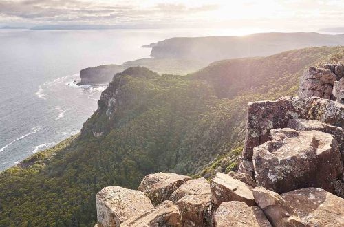 three-capes-tasman-peninsula-cape-raoul-walk-coast