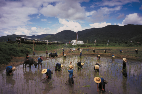 railway-journey-oriental-express-luxury-rice-paddies-mountains-scenery