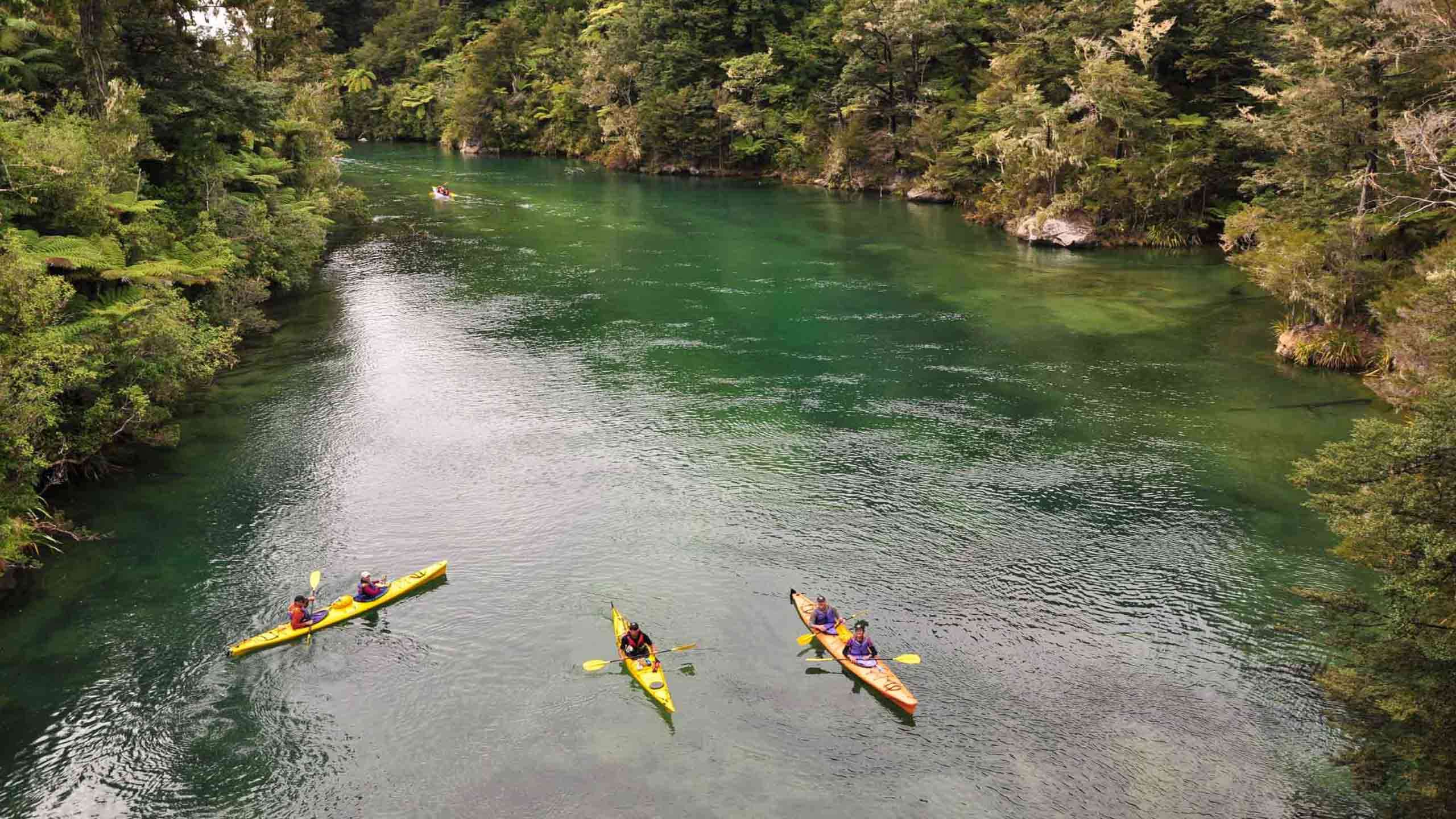 The Classic Abel Tasman Coast Track Walk & Kayak 5D4N, Fully Guided