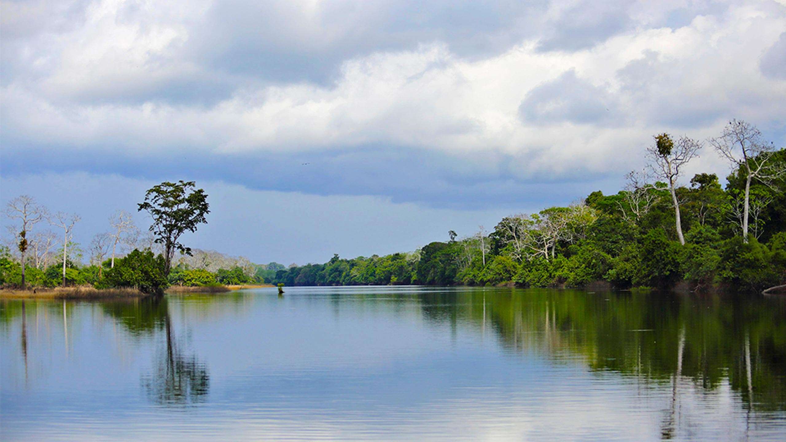 Luxury Aqua Amazon Expedition Cruise 8D7N (Nauta - Nauta)