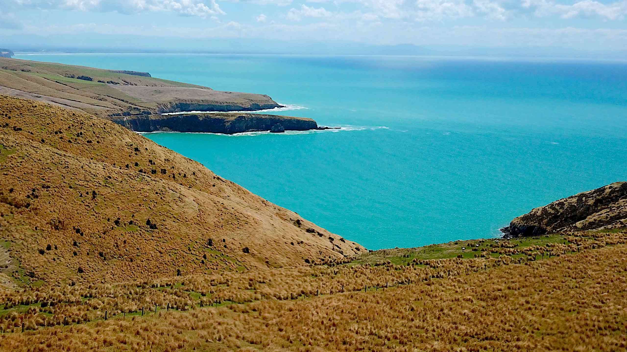 Annandale Banks Peninsula Luxury Escape 3D2N