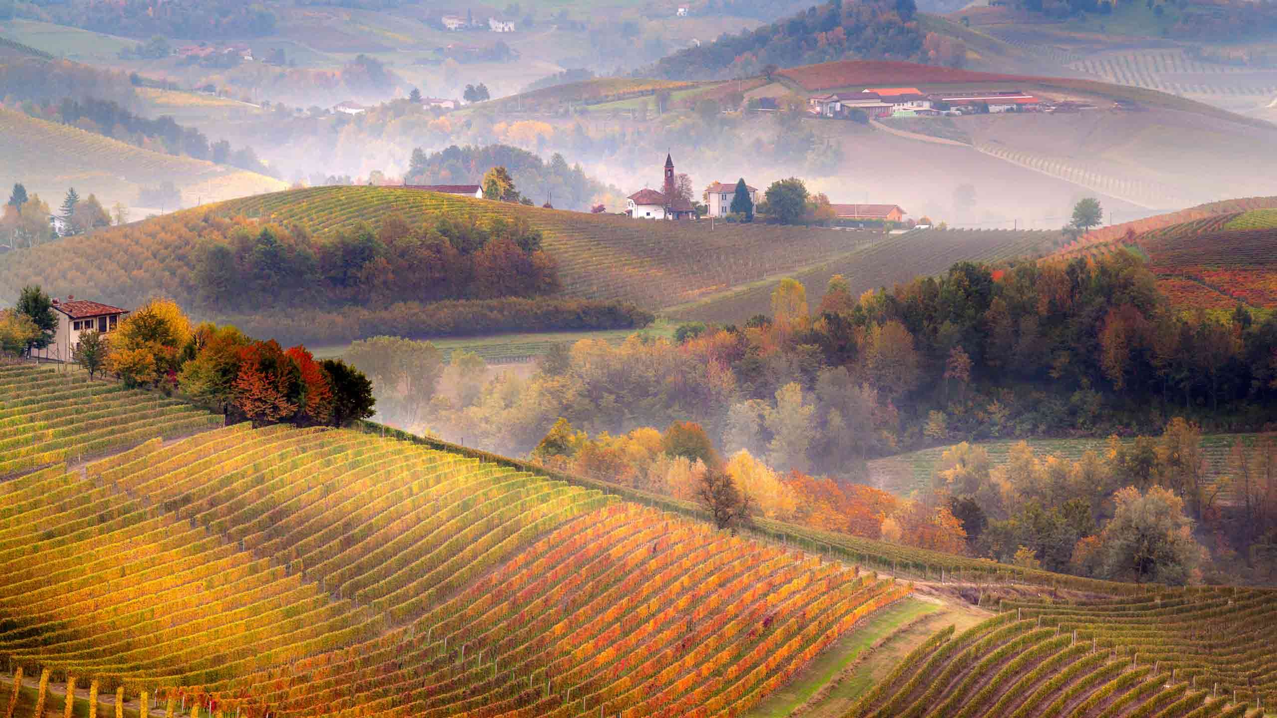 Gastronomic Piedmont Walk (Barolo Hotel-to-Hotel Walk) 9D8N, Self Guided