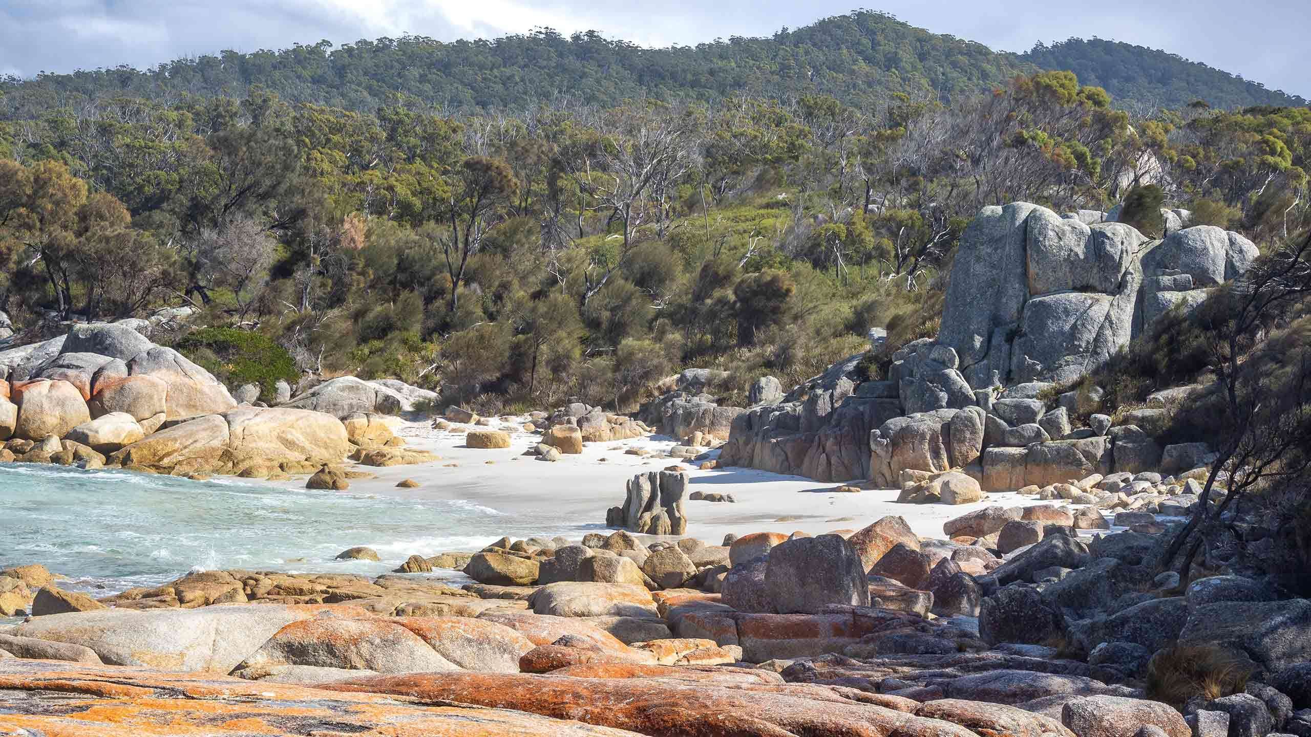 Bay of Fires Lodge Luxury Walk 3D2N, Fully Guided