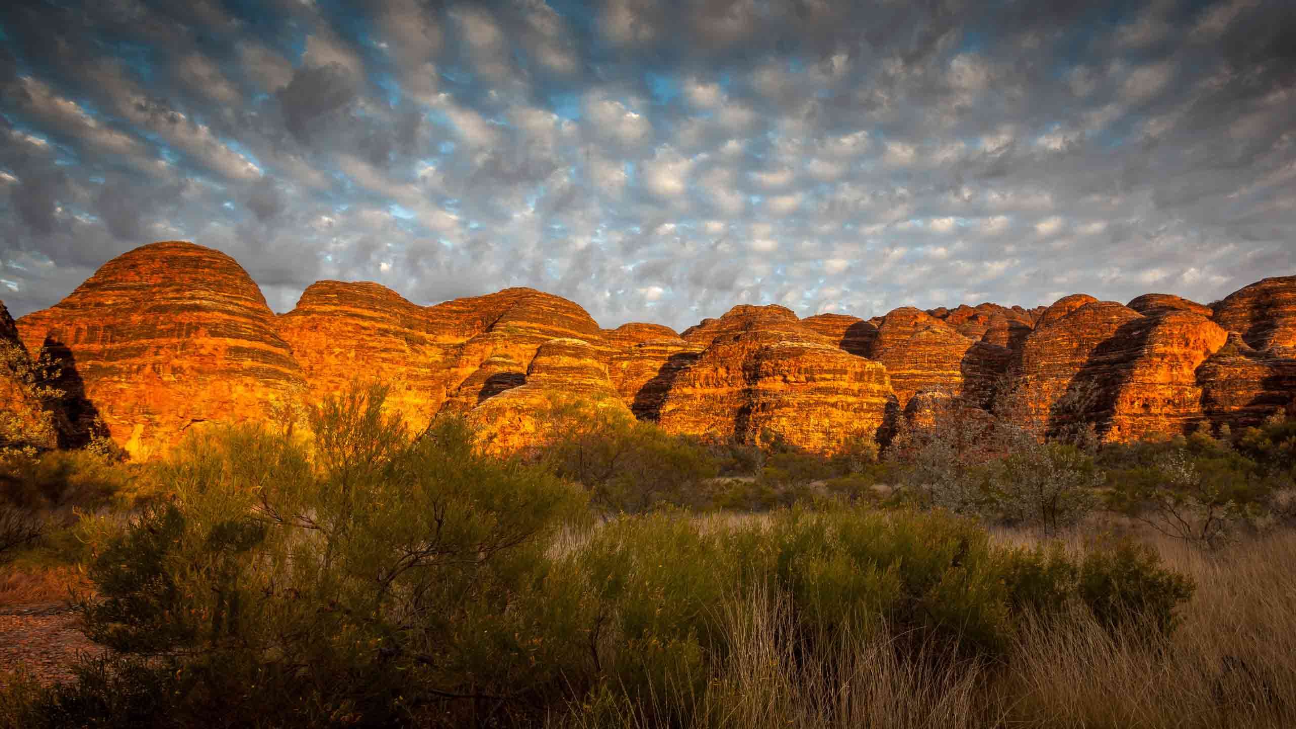 Iconic Kimberley Safari (Bungle & Mitchell Falls) 7D6N ~ Limited Edition ~