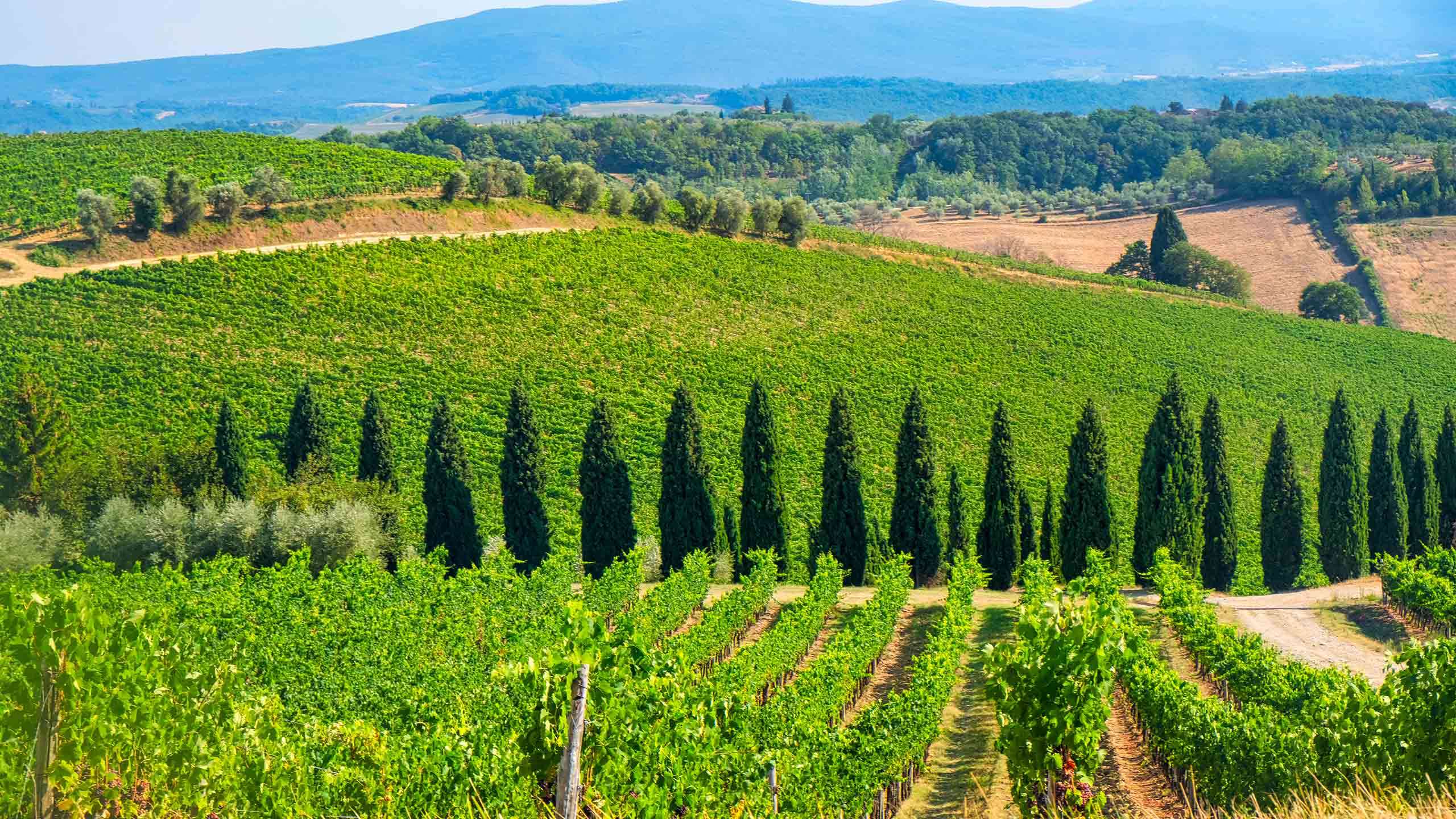 Deluxe Tuscany & Vineyards Cycling 6D5N, Fully Guided