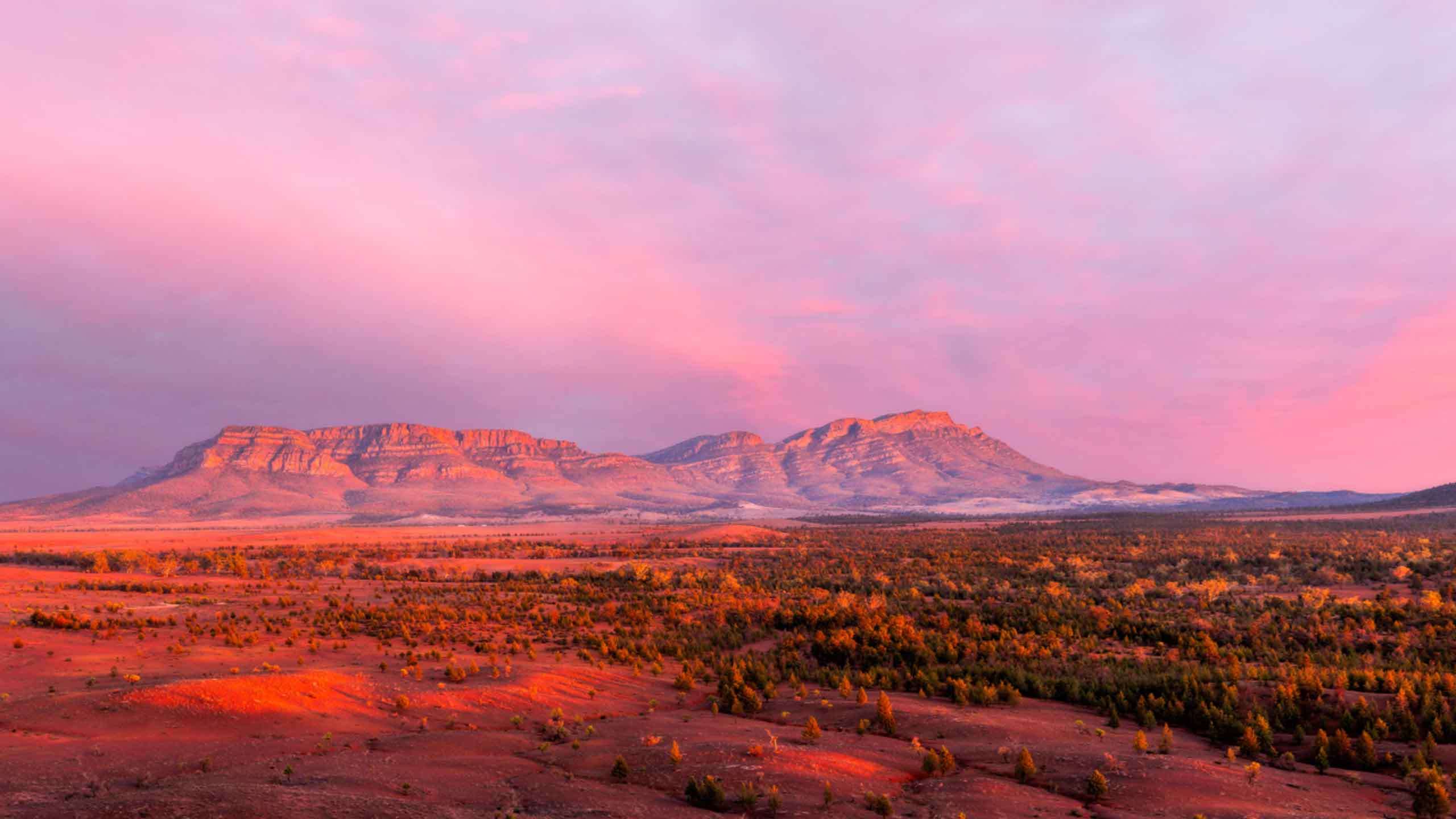 Classic Flinders Ranges Walk in Comfort 7D6N, Fully Guided