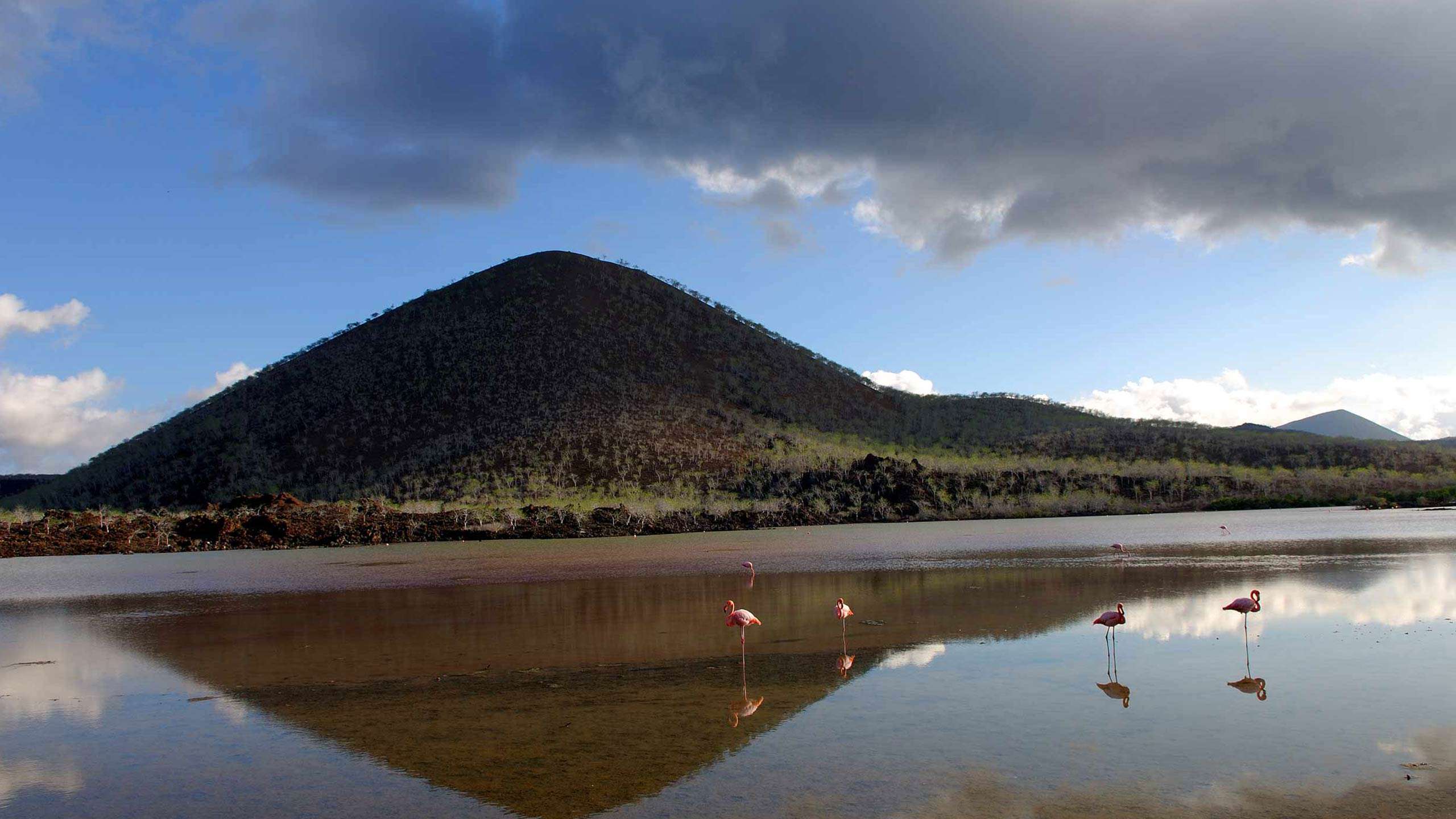 South American Gems: Ecuador Galapagos Cruise & Peru 10D9N