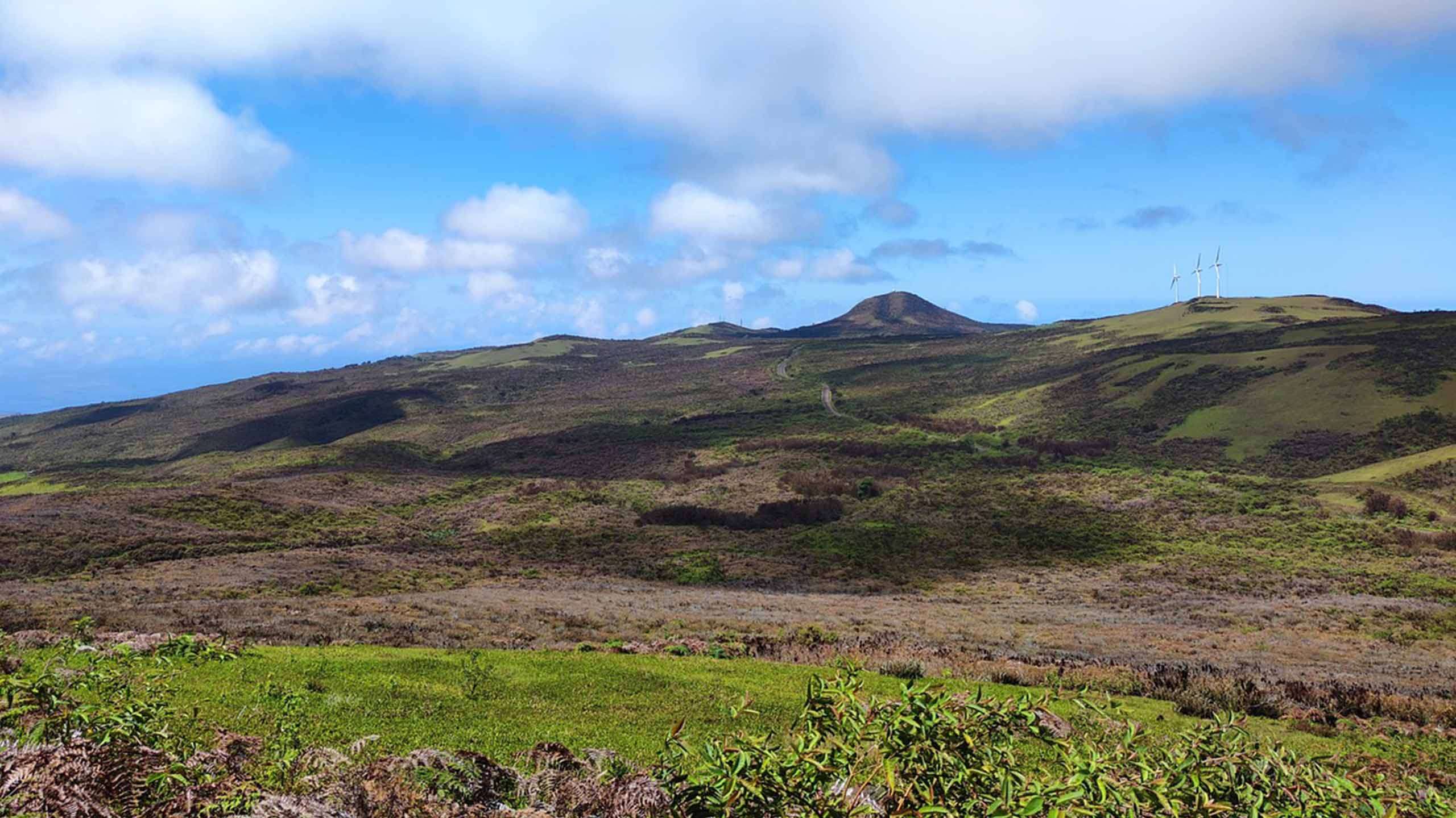 The Best of Galapagos’ Southeast Luxury Cruise (Lobos Island to Baltra Island) 5D4N