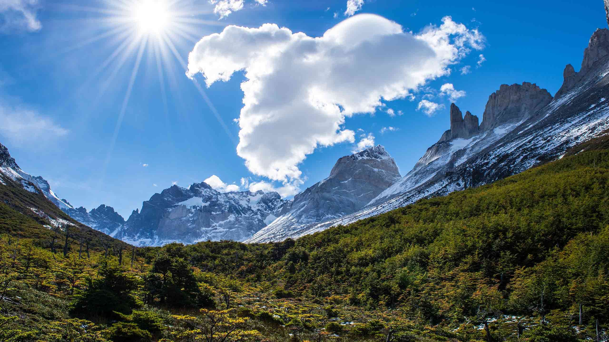 Patagonia Wildlife Safari Hike + EcoCamp 5D4N, Fully Guided