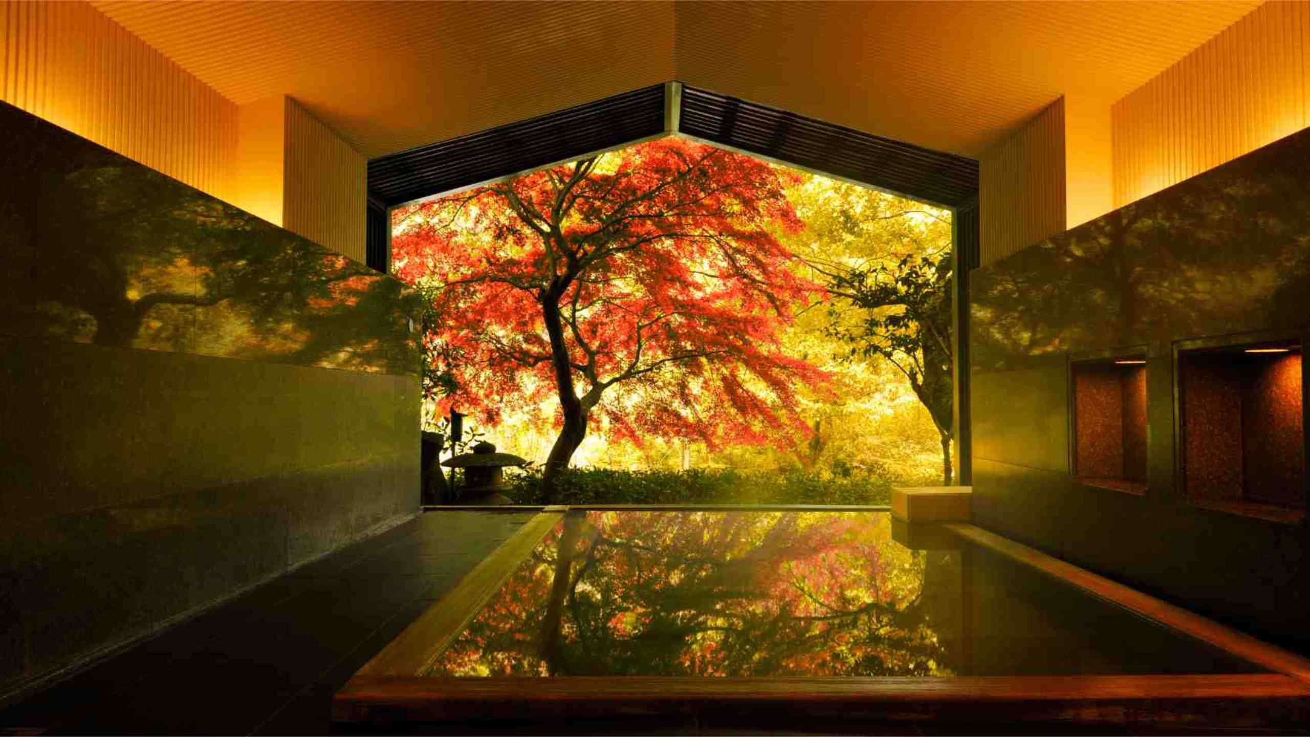 Hoshino Resorts Kai Hakone