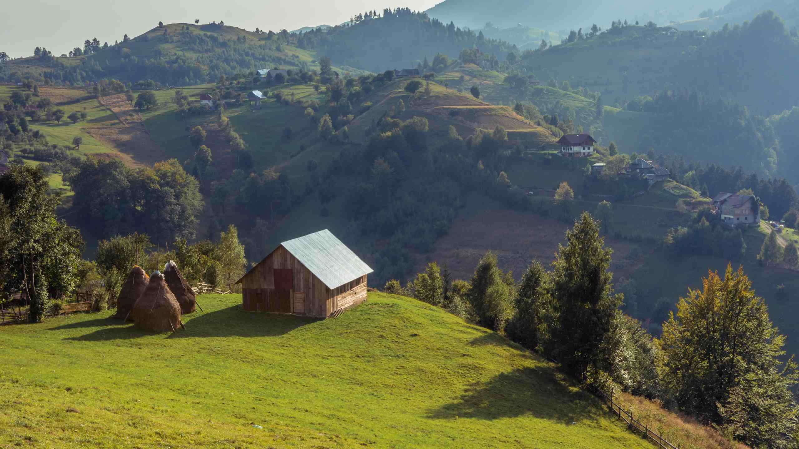 Central Romania Carpathian Mountains Walk & Brown Bears 8D7N, Fully Guided