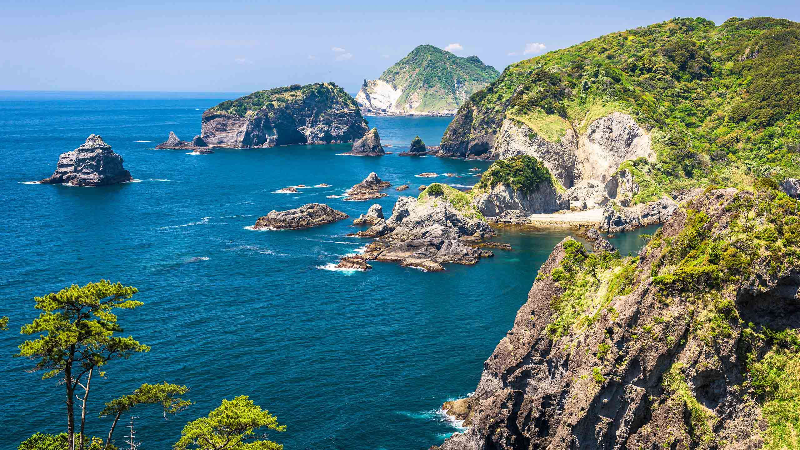 Luxury Japan Cycle 8D7N (From the Izu Peninsula to Kyoto), Fully Guided