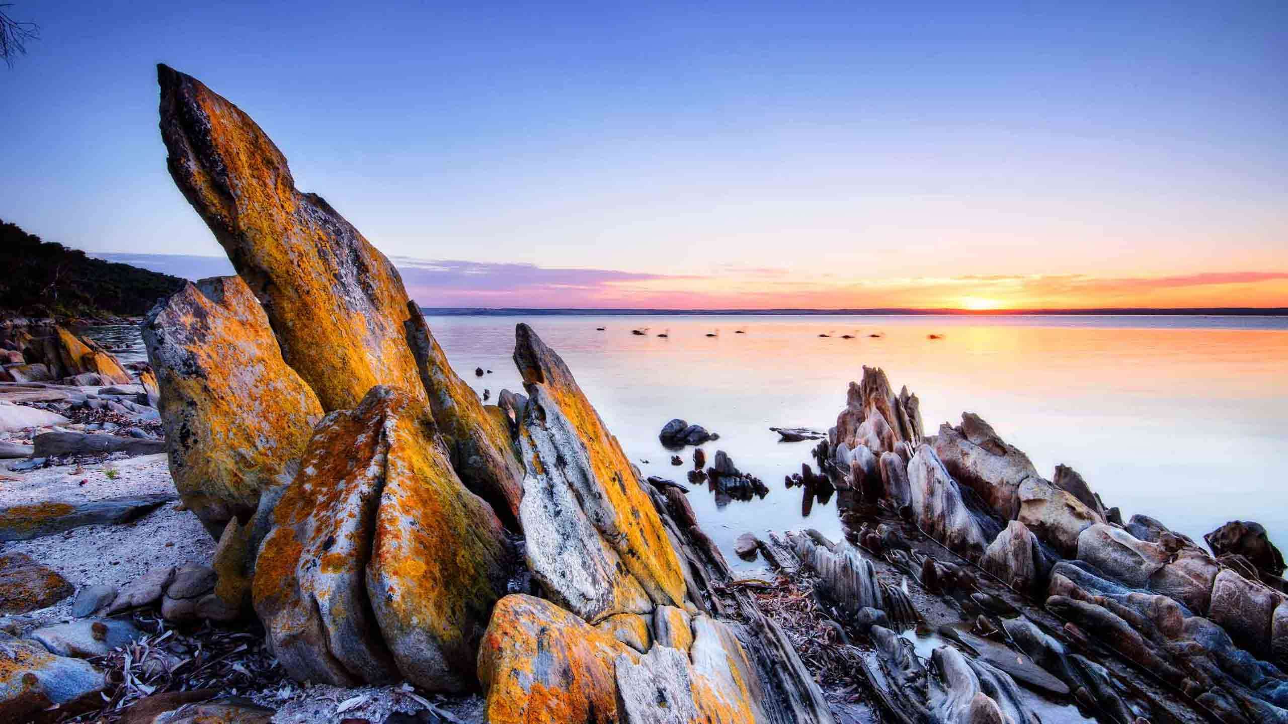 The Ultimate Luxury Kangaroo Island 4D3N (Walks, Wildlife Safaris & Southern Ocean Lodge Glamour), Guided