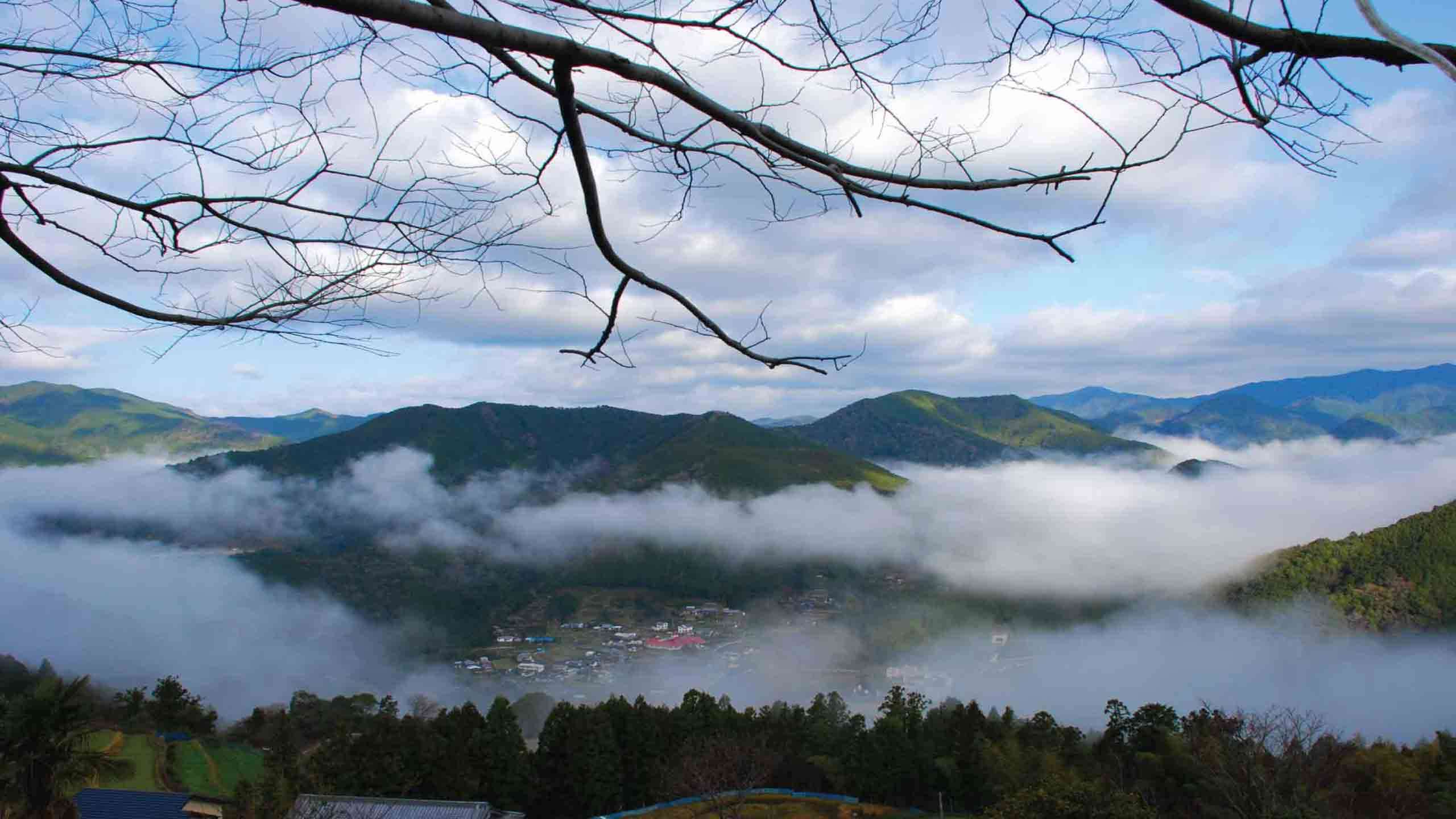 Best of Kumano Kodo Mountain to Sea Trek 5D4N (Inc. Ogumotori-goe), Self Guided