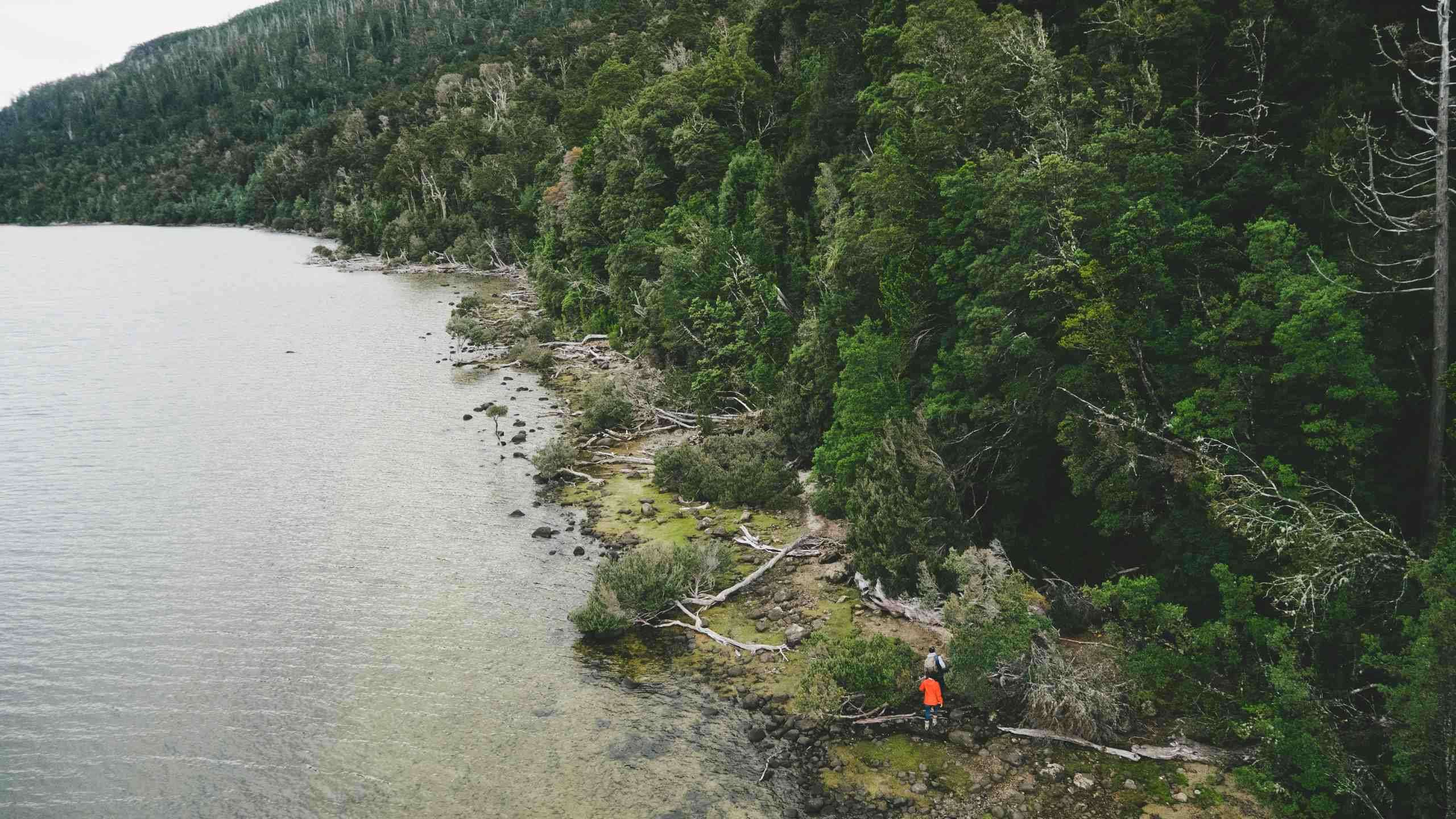 Lake St Clair Luxury Walk + Pumphouse Point 4D3N, Fully Guided