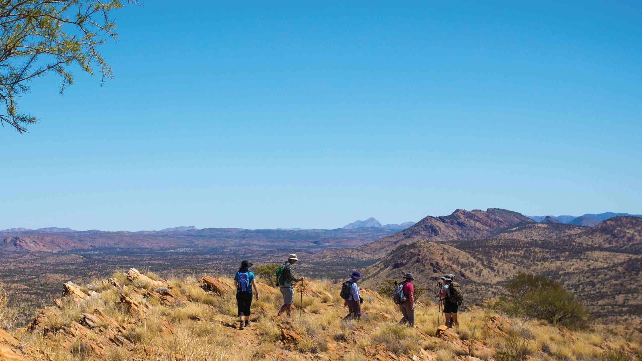 The Larapinta Trail End to End Trekking 14D13N, Fully Guided