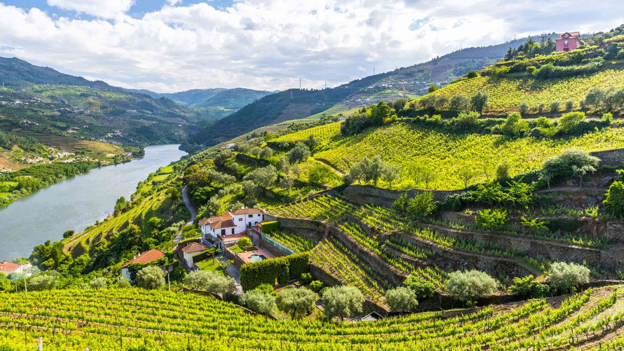 Deluxe Northern Portugal & Douro Valley Cycle 6D5N (Ancient Porto & Valley Vineyards), Fully Guided 