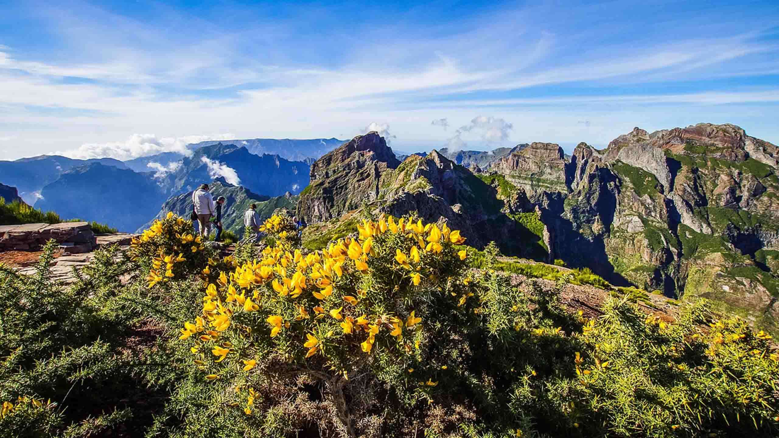 Ultimate Luxury Madeira Walk & Yacht 'The Flower Island' 8D7N, Private Tour