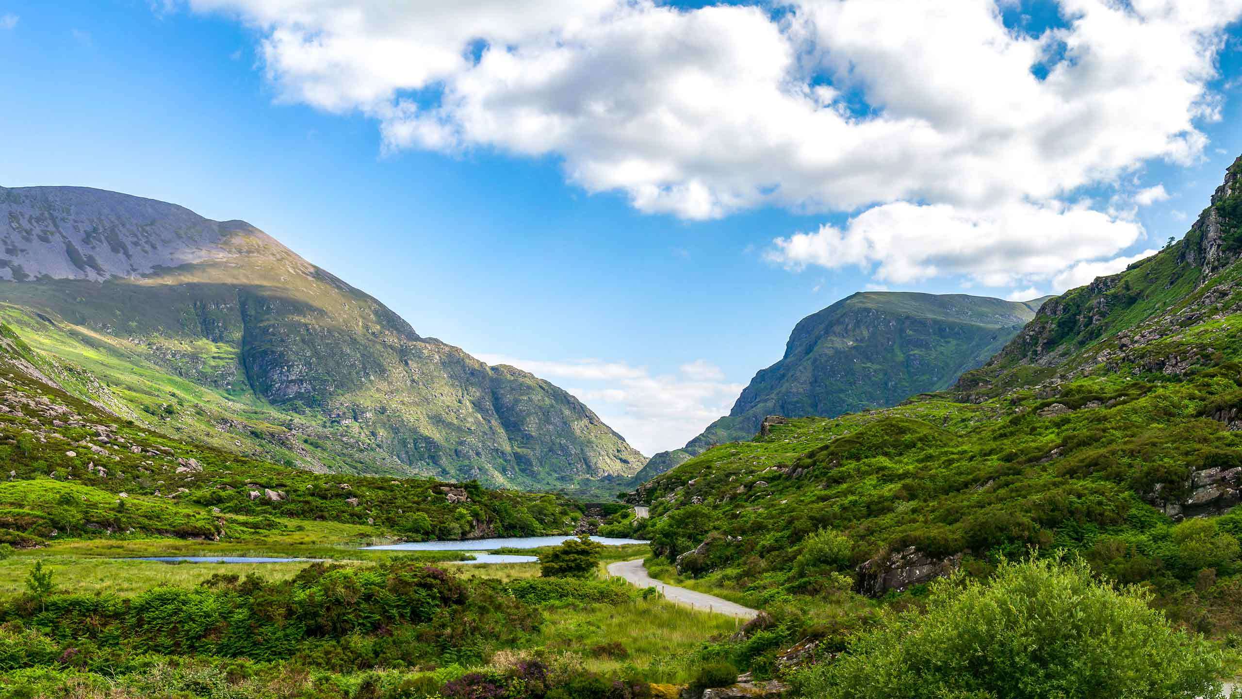 Ireland's Connemara Luxury Cycle (Windswept Coast & Castles on the Emerald Isle) 6D5N, Fully Guided